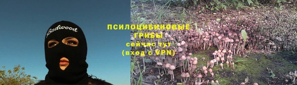 тгк Костерёво